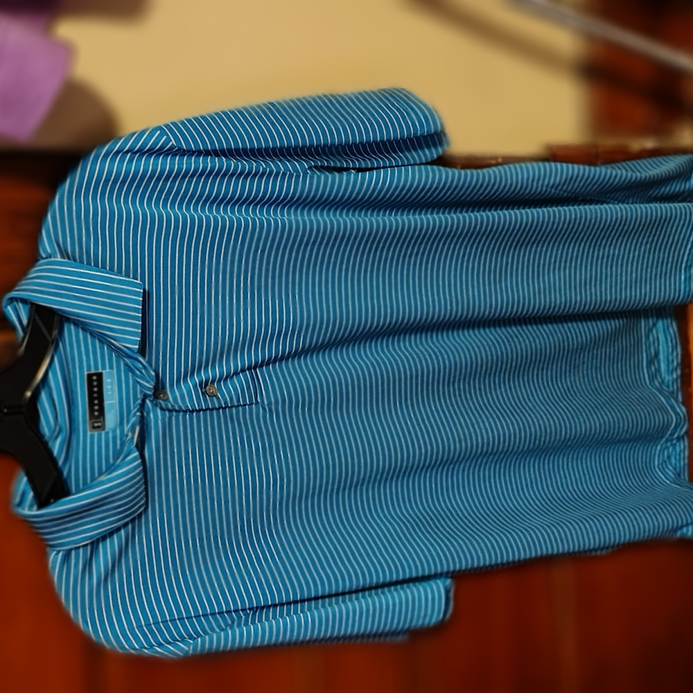 Blue Striped Shirt